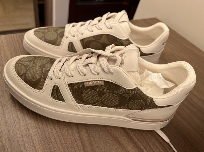 Clip Court Low Top Snenaker In Signature Canvas